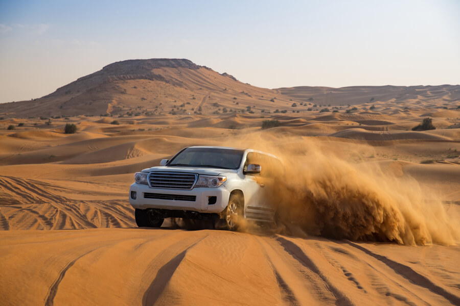 The Desert Safari