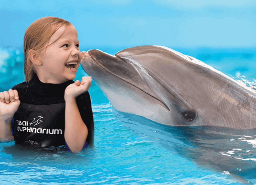 Dubai Dolphinarium